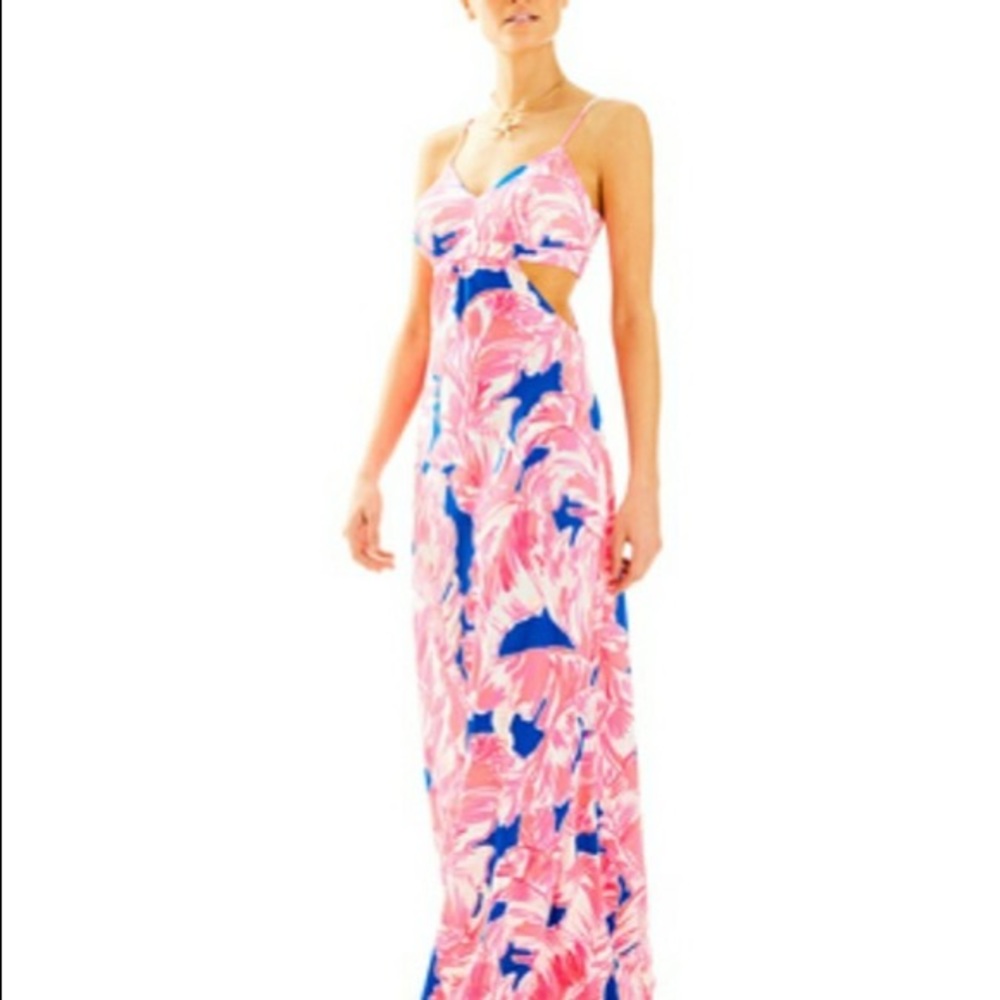 Lilly Pulitzer Linley Dress